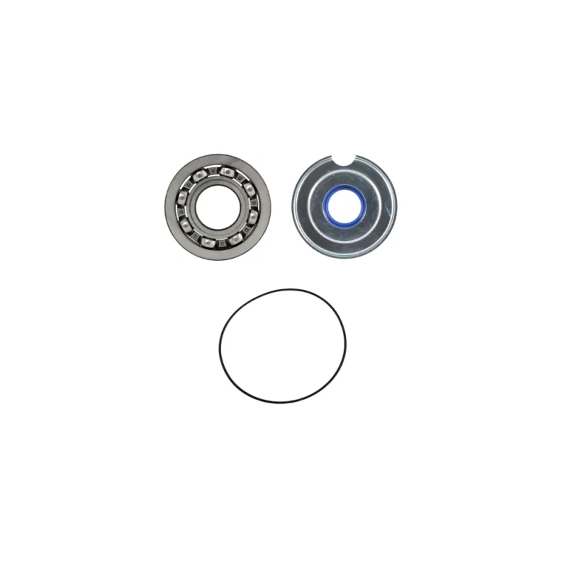 Crankshaft service kit RMS 100201540 Sleva